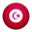 Flag of Tunisia-32