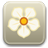 Magnolia logo-48