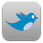 Twitter App icon