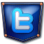 Twitter jeans Icon