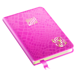 Pink Journal 2010