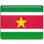 Suriname Flag icon