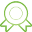Medal green icon