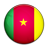 Flag of Cameroon-48