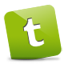 Tumblr green icon