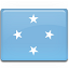 Micronesia Flag-64