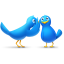 Gossip birds icon