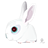 Rabbit zodiac-48