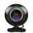 Webcam Gold-48