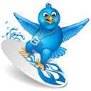 Twitter surfer-128