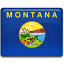 Montana Flag-64
