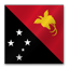 Papua New Guinea Flag icon