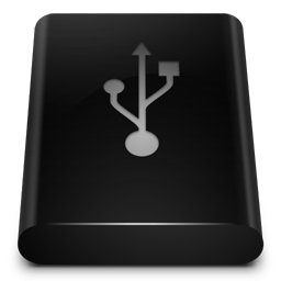 Black Drive USB-256