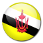 Brunei Flag-64