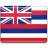 Hawaii Flag-48