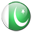 Pakistan Flag-32