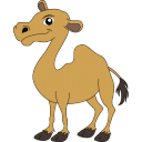 Camel-128