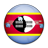 Flag of Swaziland-48