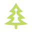 Green Tree Conifer Icon