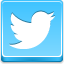 Twitter Bird Blue icon