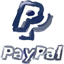 Paypal hand drawn icon