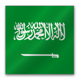Saudi Arabia flag-256