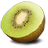 Kiwi Fruit-48