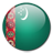 Turkmenistan Flag-48