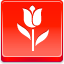 Tulip Red icon