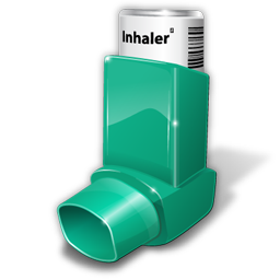 Asthma Inhaler-256
