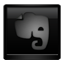 Black Evernote Icon