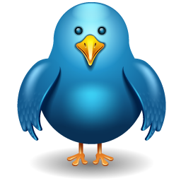 Twitter bird-256