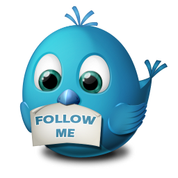Twitter follow me