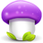 Purple Mushroom-48