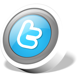 Twitter button-256