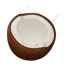 Coconut-64
