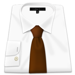 White Shirt Brown Tie