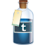 Tumblr Bottle-64
