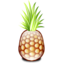 Pineapple-64