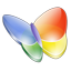 Msn Butterfly icon