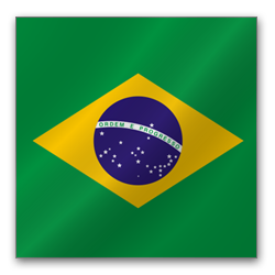 Brasil Flag-256