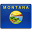 Montana Flag-32