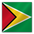 Guyana Flag-48