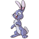 Rabbit-128