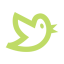 Green Tweet Bird icon