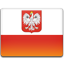 Poland flag-64