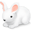 Bunny-64