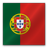 Portugal flag-48