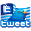 Twitter flag Icon