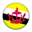 Flag of Brunei-48